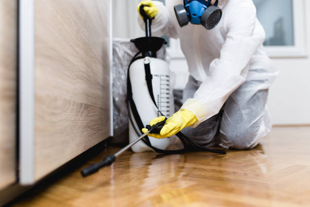Best Best Pest Control Companies  in Athena, OR