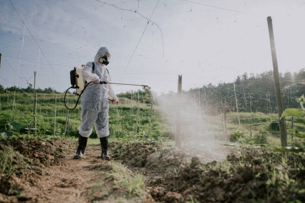 Best Affordable Exterminators  in Athena, OR
