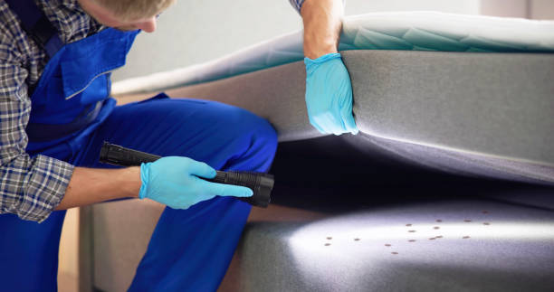 Best Residential Pest Control  in Athena, OR